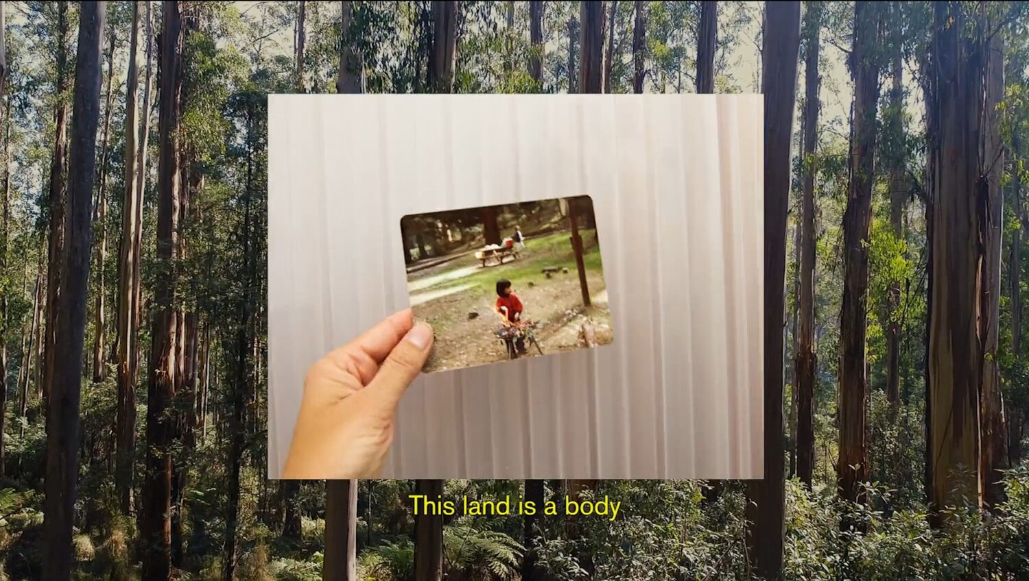 Holding Pattern, Eugenia Lim - ngurrak narring