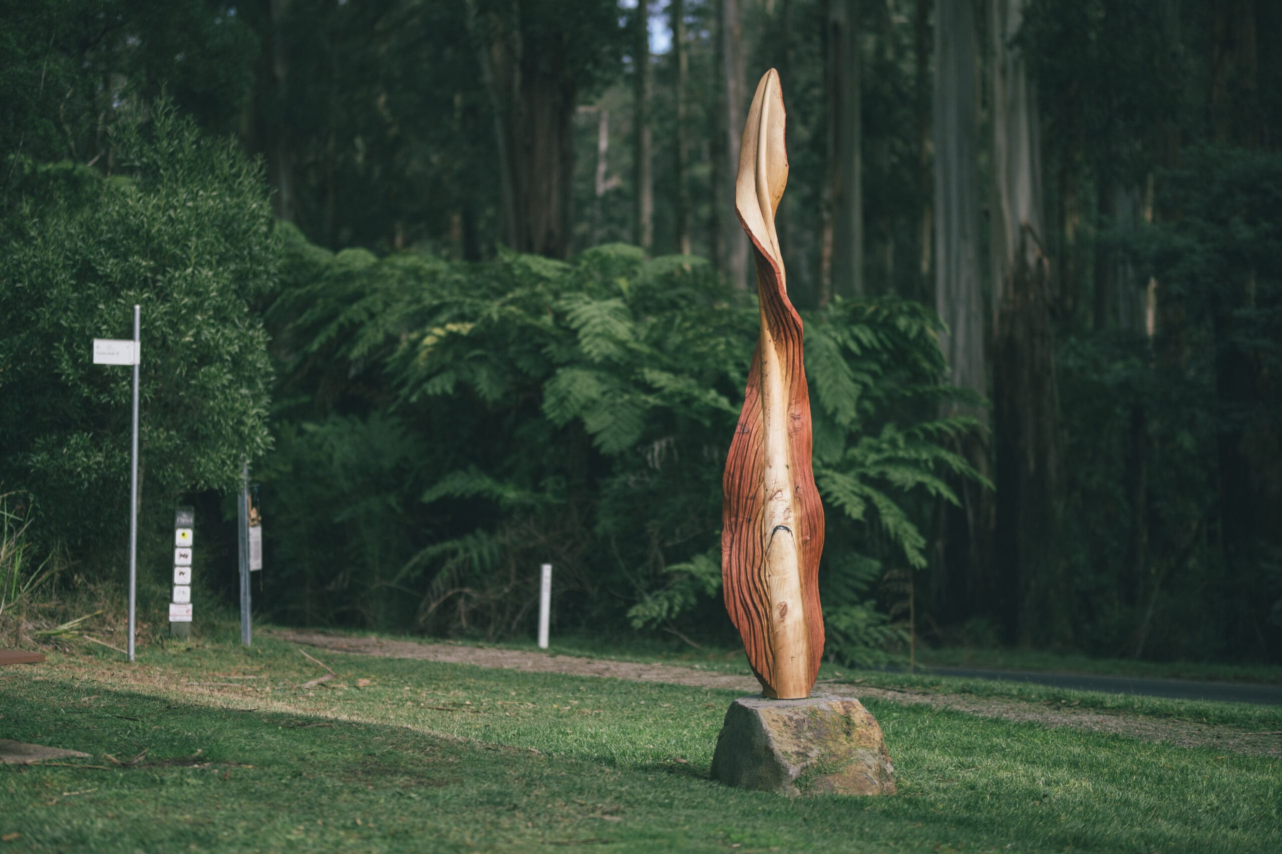 Storm Leaves Kallista is in Grants Picnic Ground